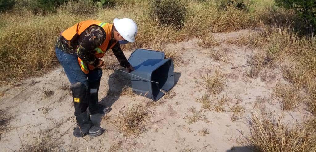 PRAMSEI: Proyectos ambientales en etapas constructivas y operativas (56)